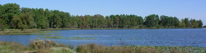 Prettiest 22 acre fishing spot in the Arkansas Ozarks.