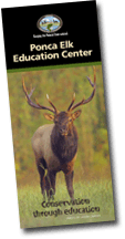 Wild elk, bear, and deer are all featured at the Ponca Elk Education Center. The Elk Center provided this brochure.