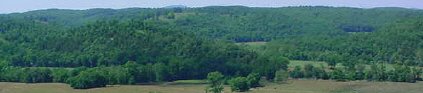 Best cabin views of any cabins near Buffalo National River.