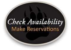 Make Online Reservation